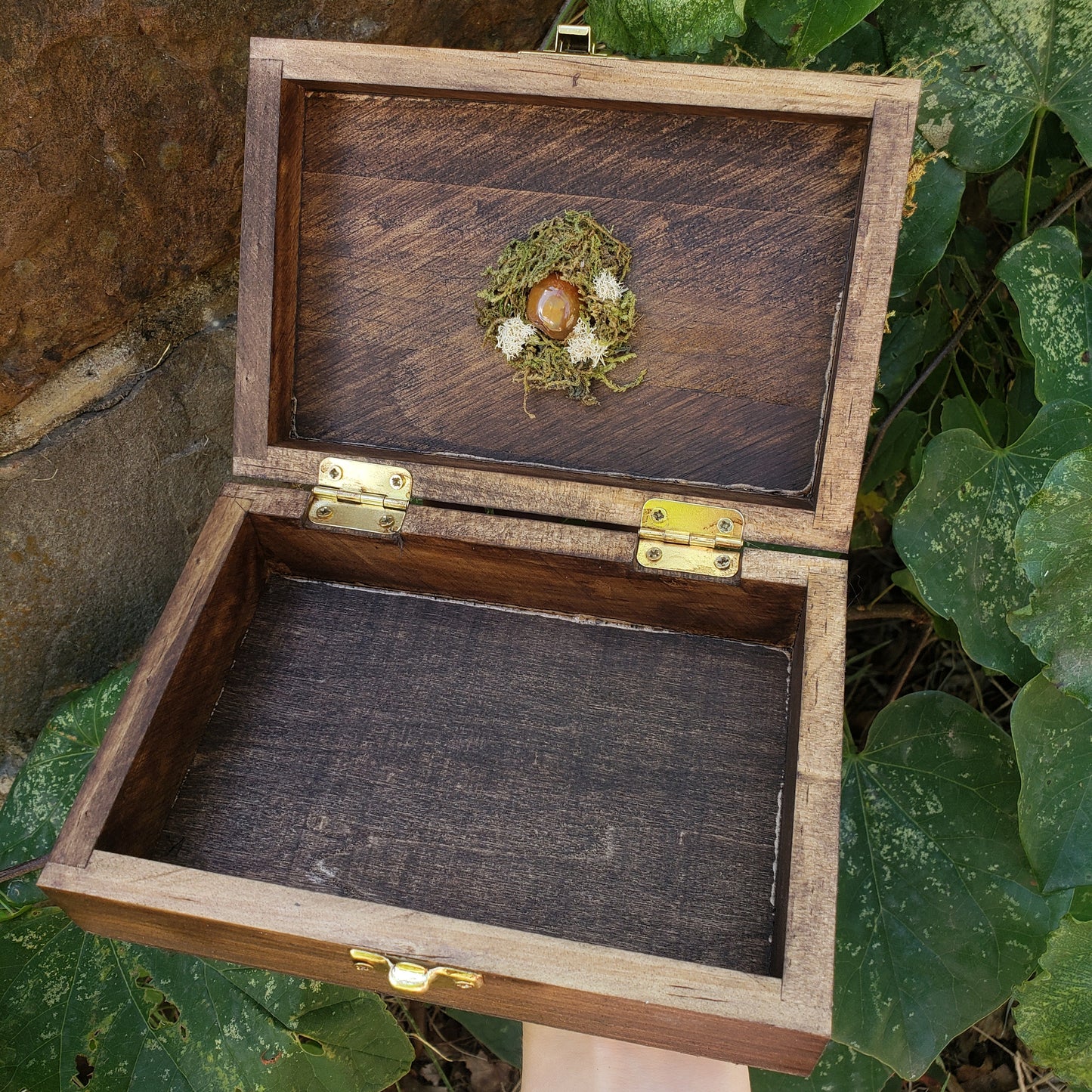 Amanita Mushroom Hidden Gem Box