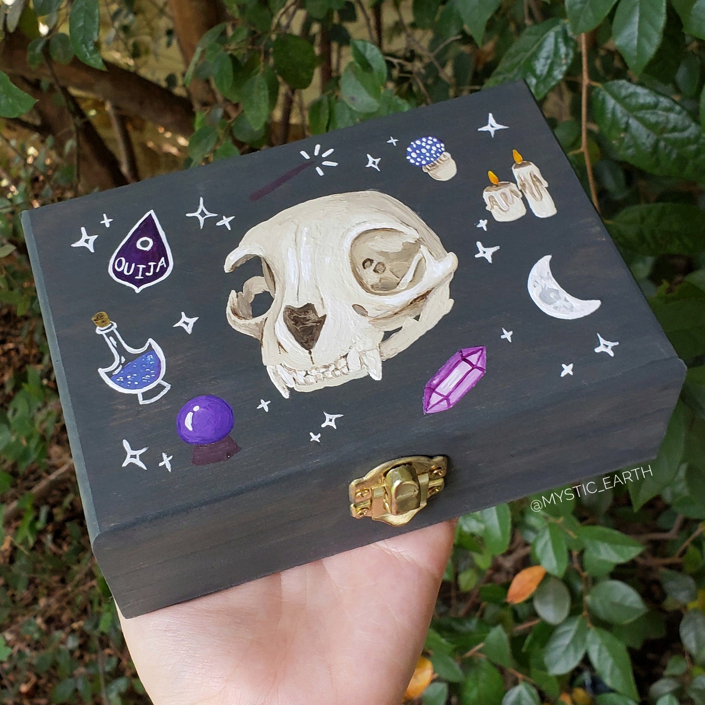 Cat Skull Hidden Gem Box