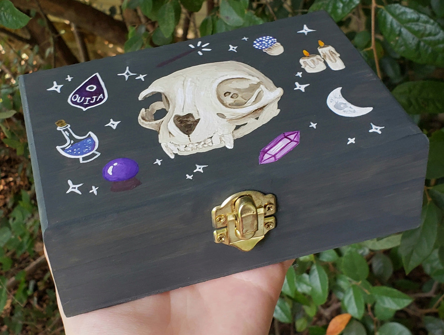 Cat Skull Hidden Gem Box