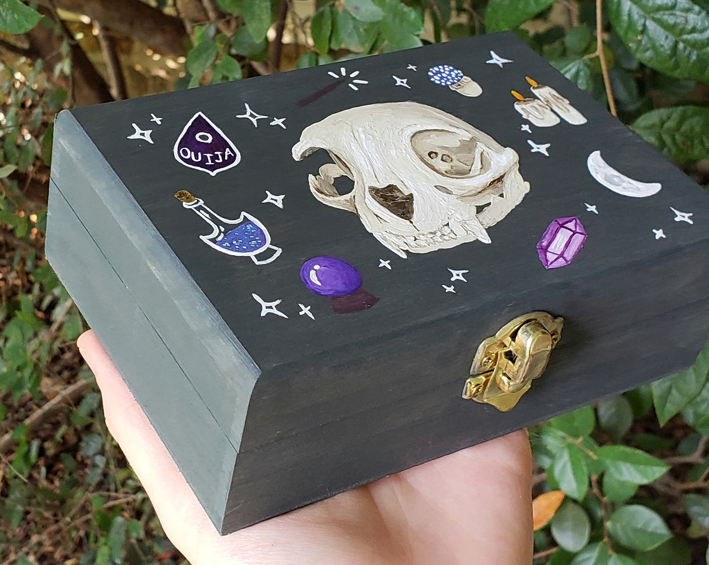 Cat Skull Hidden Gem Box