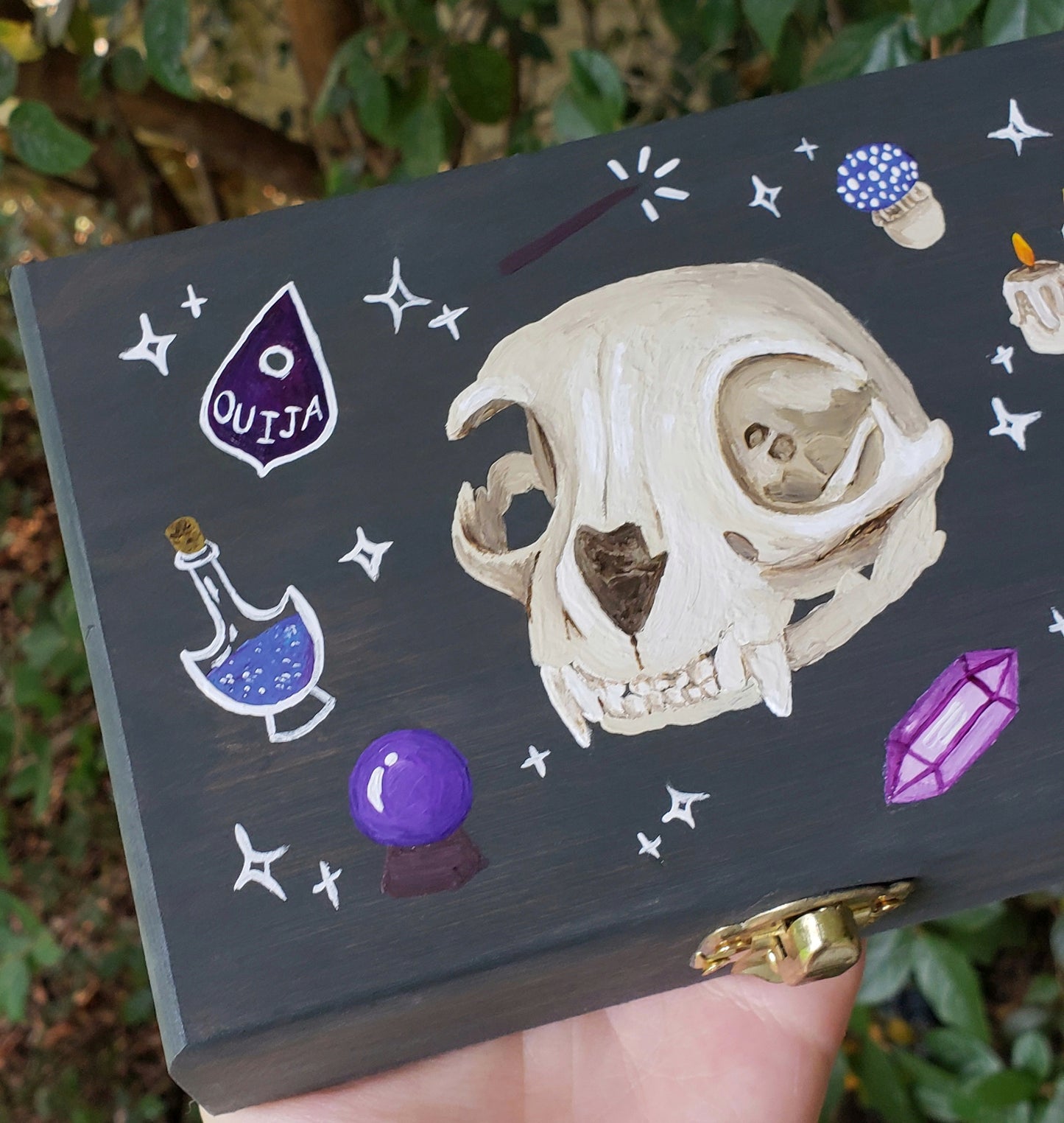 Cat Skull Hidden Gem Box