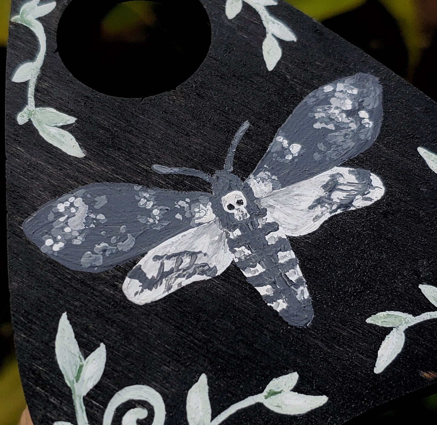 Deaths Head Moth Planchette