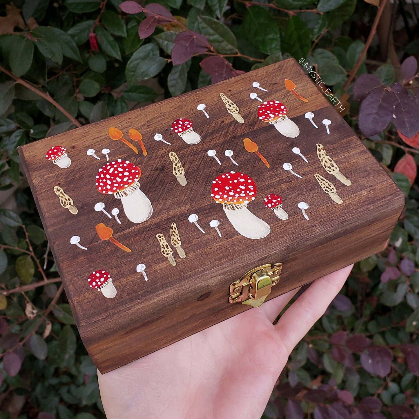 Amanita Mushroom Hidden Gem Box