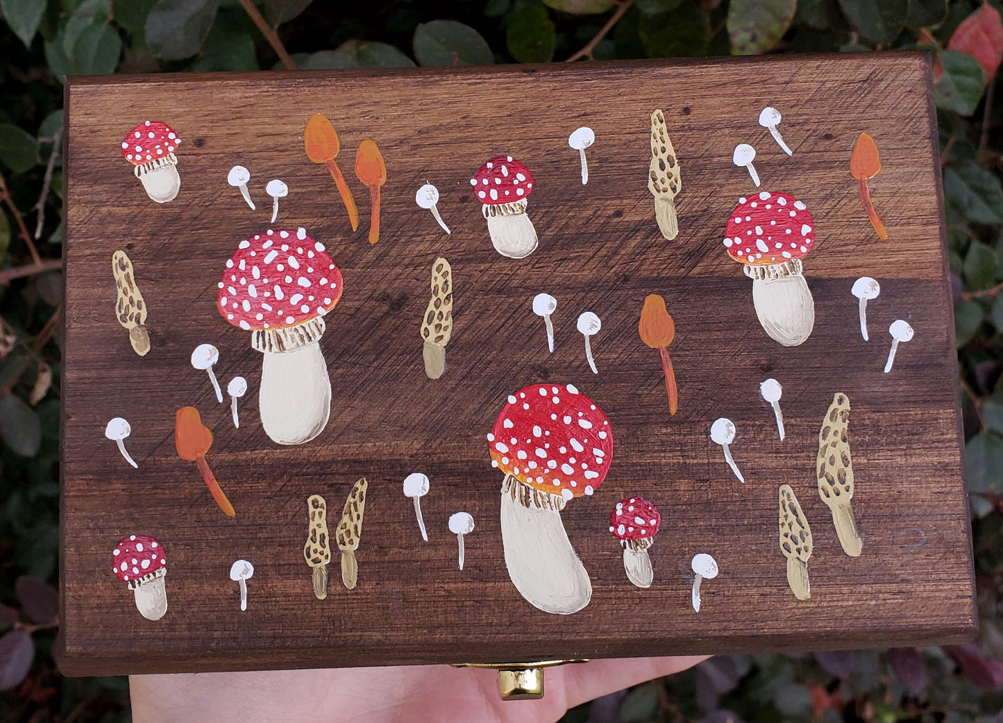 Amanita Mushroom Hidden Gem Box