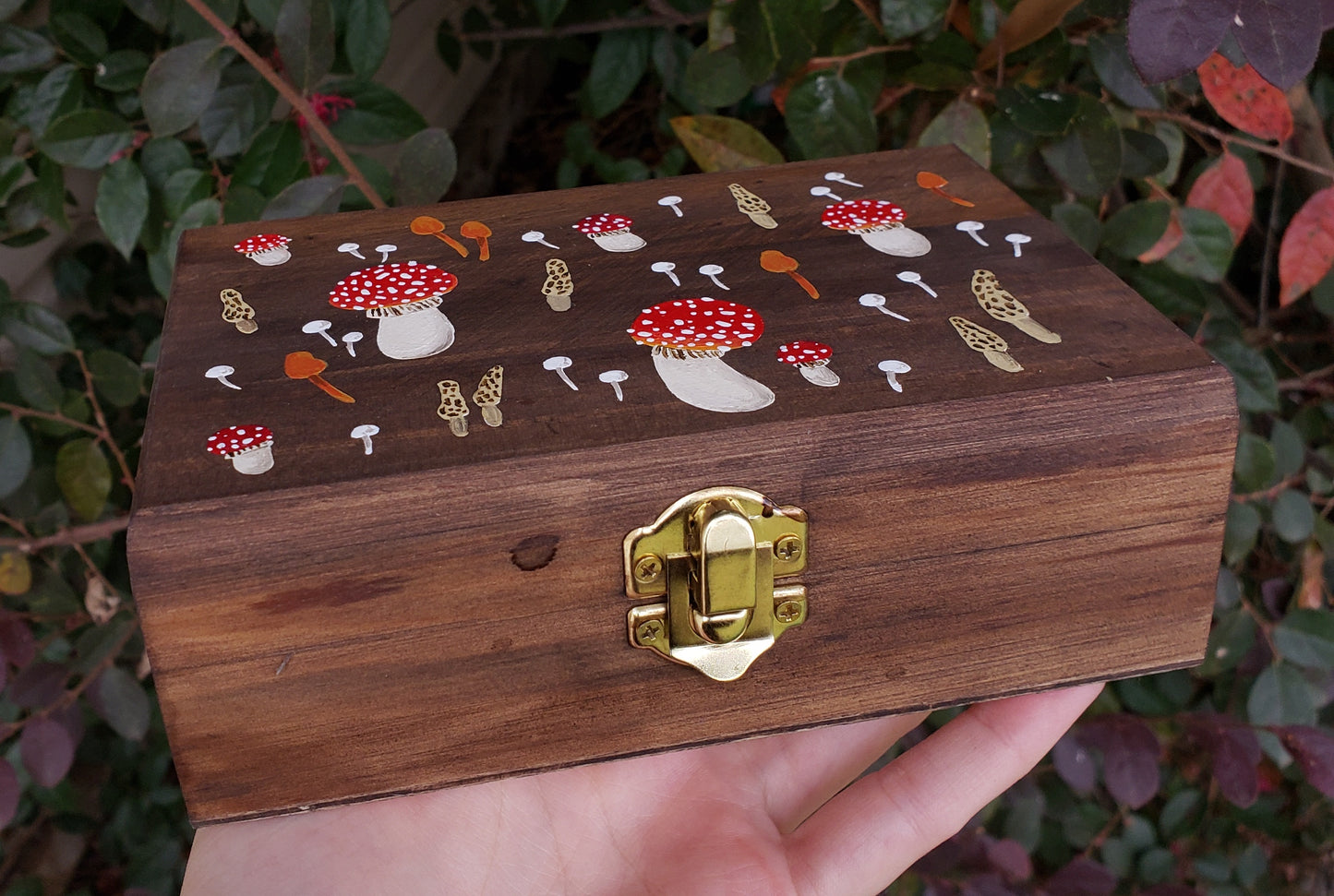 Amanita Mushroom Hidden Gem Box