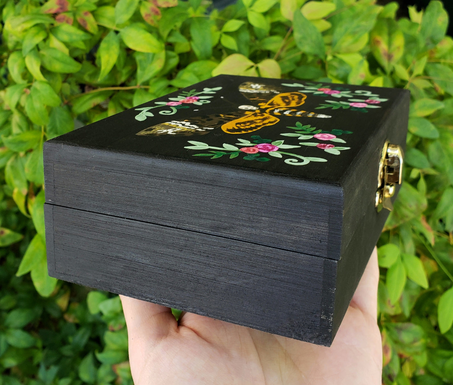 Deaths Head Hawkmoth Hidden Gem Box