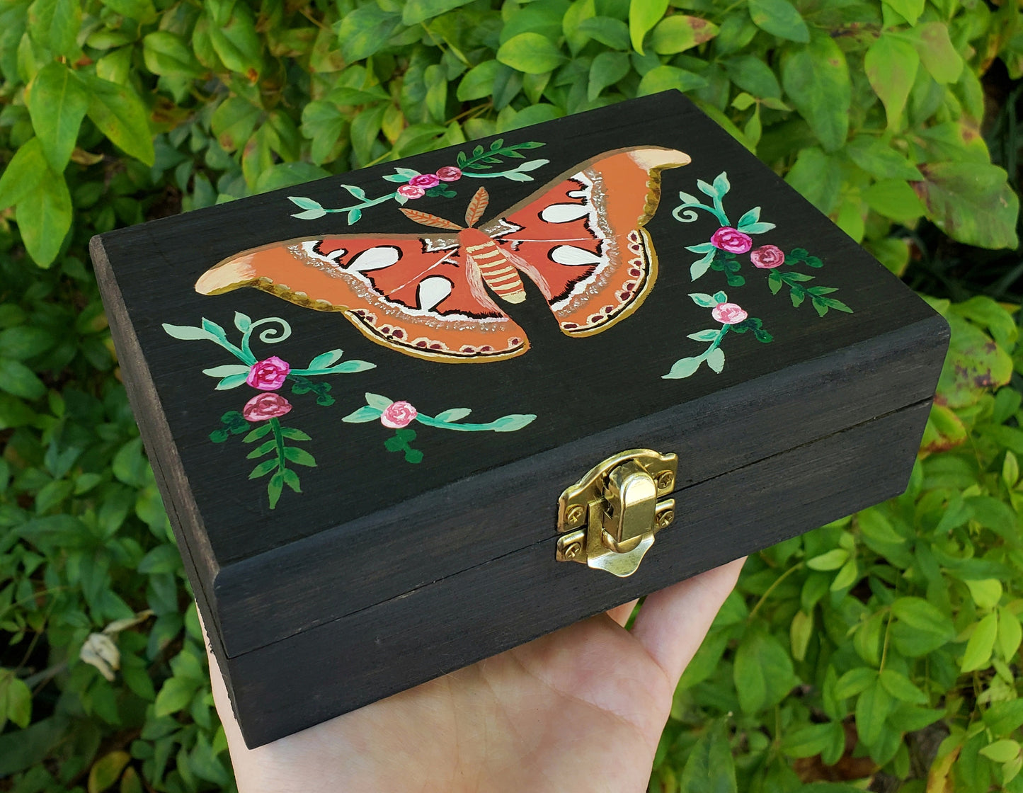 Moth Hidden Gem Box