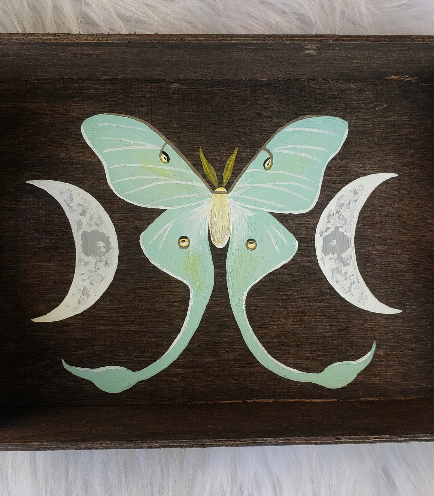 Floral Luna Moth Tray