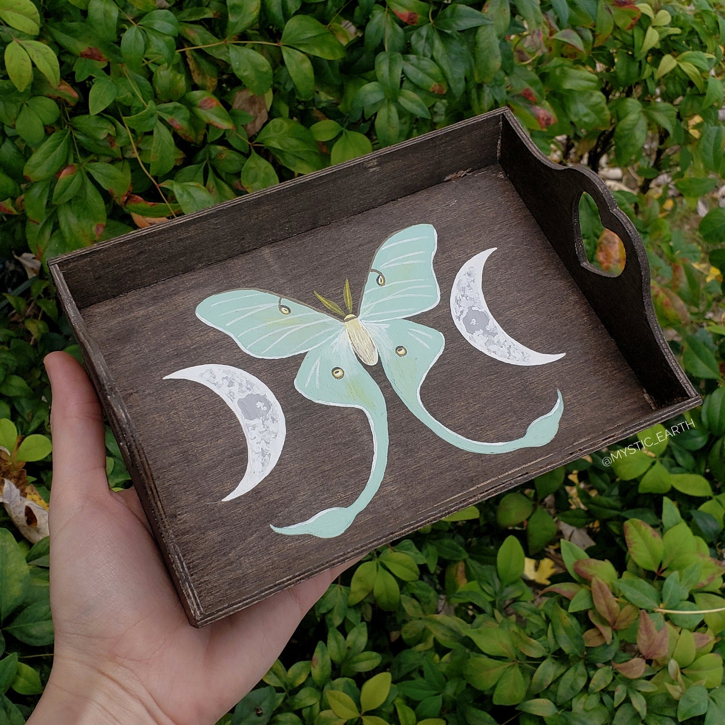 Floral Luna Moth Tray