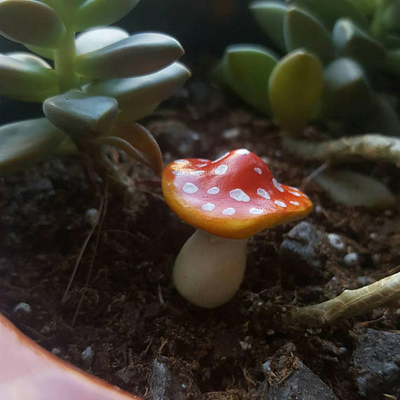 Mini Rainbow Mushroom Fairy Garden Decor - Indoor and Outdoors